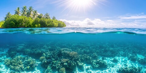 Fototapeta premium Beautiful underwater view with coral reefs and sun shining on water