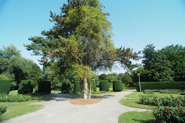 The Wertwiesen Park in Heilbronn, Germany, Europe