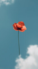 Bonita flor de pétalos rojos volando por el cielo. Minimalismo.