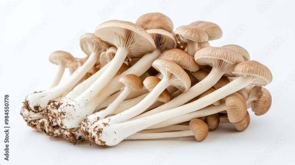Poster a pile of yanagi mushrooms on a clean white background, with their long, slender stems creating a vi