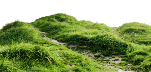 PNG  Lush green grassy hills landscape