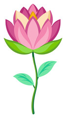 lotus flower illustration