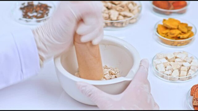 Close-up of a scientist pounding poria cocos wolf in a mortar and pestle with a wooden pestle. Placed on a white table with glass containers containing herbs inside.
