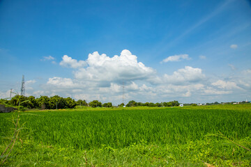 beautiful nature landscape springtime background, beautiful nature peaceful place