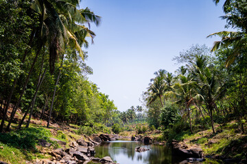 Obraz premium Summer landscape with river and trees