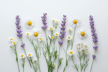 Fototapeta premium Fresh lavender and chamomile flowers in bloom create serene and calming arrangement. vibrant colors and delicate petals evoke sense of tranquility and natural beauty