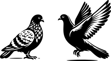 pigeon silhouette vector style with white background