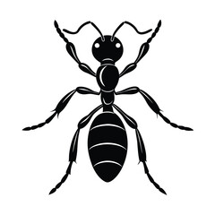 black and white spider silhouette design 