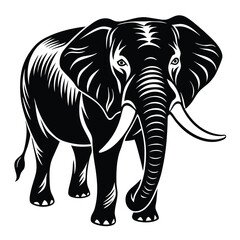elephant silhouette design 