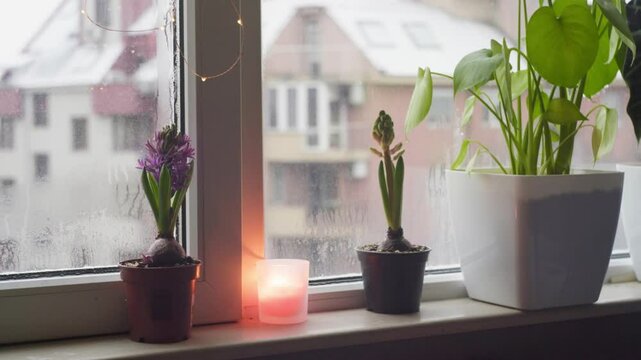 Cozy winter morning with candles and flowers