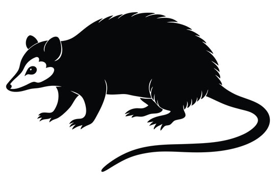 recommend clip art: Opossum Silhouette, Unique Wildlife Vector, Nighttime Animal Illustration, Nature Clipart