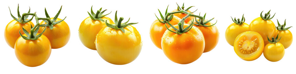 Yellow tomatoes - Sweet and juicy eaten fresh Isolated on Clear White Background Highly Detailed 