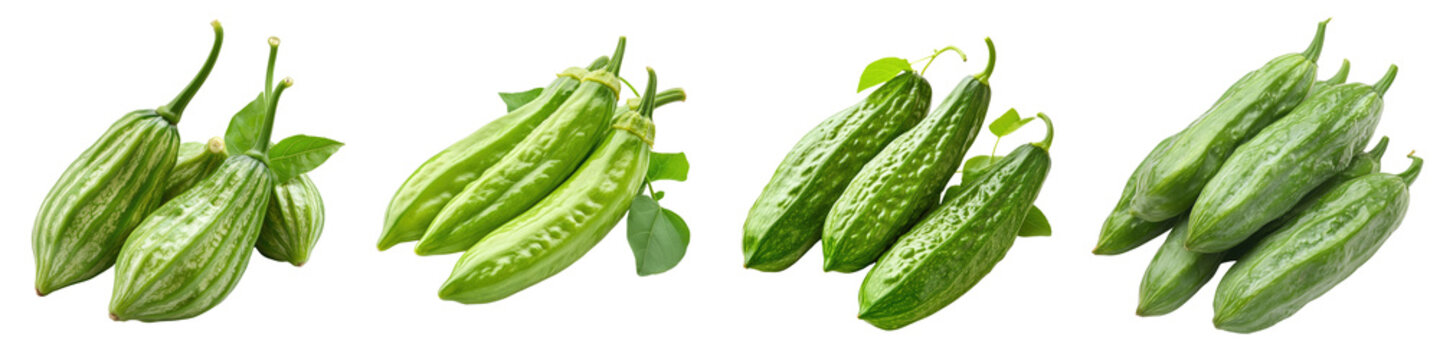 great for sauces Pointed Gourd/Parwal - Mild and tender Isolated on Clear White Background Highly Detailed 