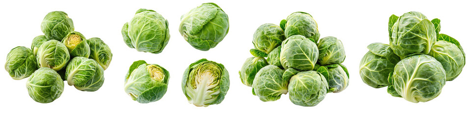 Brussels Sprouts - Mini cabbages Isolated on Clear White Background Highly Detailed
