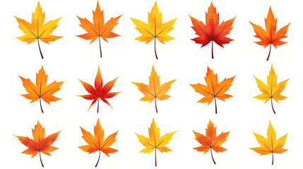 Collection of autumn leaves in orange and yellow tones