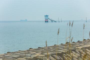 Seawall and reed marshes on Hengsha Island, Chongming District, Shanghai