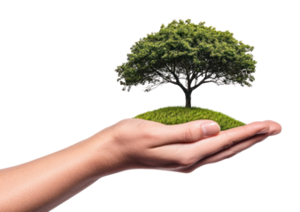 PNG Sustainable nature in human hands