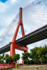 Yangpu Bridge, a cable-stayed bridge in Shanghai