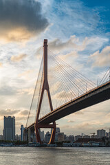 Obraz premium Shanghai Cable-stayed bridge Yangpu Bridge at dusk.