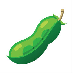 Naklejka premium Green bean Vector Art