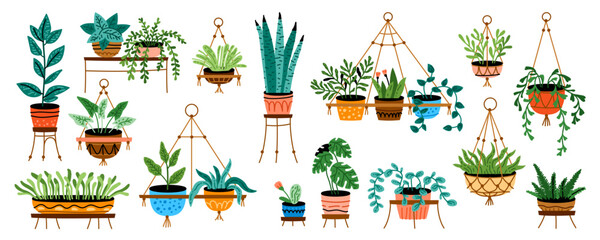 Potted plants set. Interior houseplants in planters, baskets, flowerpots. Home indoor green decor. Different succulents, cacti, foliage. Flat graphic vector