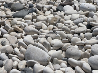 Smooth Pebbles and Stones Found on a Beautiful Beach Setting and Scene