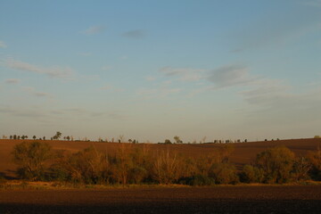 A field with trees and a rainbow