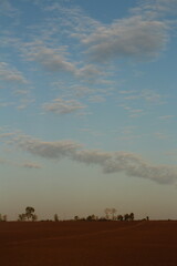 A field with clouds in the sky