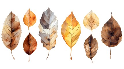 Fototapeta premium Watercolor Autumn Leaf Collection with Golden Brown and Orange Tones on White Background