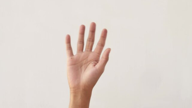 Hands, wave and sign for hello, goodbye or friendly greeting on white background in studio or communication with body. Hand gesture, person or expression of welcome, farewell or waving for attention.