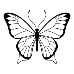 Obraz premium Black butterfly vector design. Line art