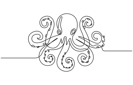 recommend clip art: Continuous line drawing of octopus. One line of cephalopod. Marine animal concept continuous line art. Editable outline. Continuous Line Drawing of an Octopus