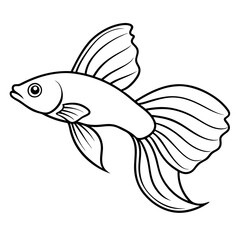 Elegant Guppy Fish with Flowing Tail Fins - Vector Art