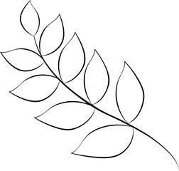 Olive branch. Symbol peace and reconciliation. Nature and healthy lifestyle.