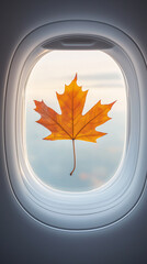 Autumn fallen maple leaf stuck on the window of an airplane. Autumn travel and flights, autumn...