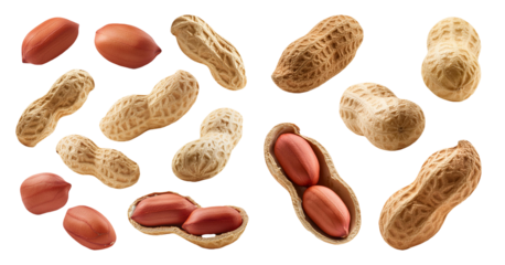 Shelled and unshelled peanuts isolated on transparent background