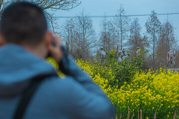Chongming District, Shanghai - Portrait of a man standing in the forest