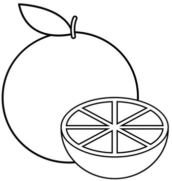 recommend clip art: Whole oranges with leaves, and orange slices outline vector.
                    