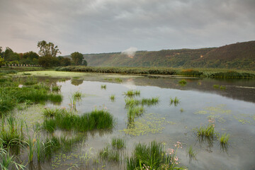 Beautiful rural landscape with green meadows and domestic animals in the Republic of Moldova. Country life with summer nature.