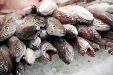 Fresh Pescadillas Displayed at Mercat De La Boqueria in Barcelona