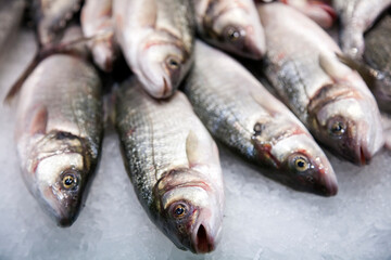 Fresh Fish at Mercat De La Boqueria in Barcelona