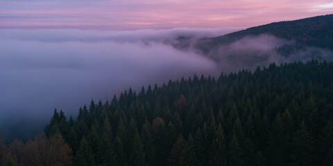 Obraz premium The sky is a beautiful pink color with a hazy mist. The trees are tall and green, and the mist is covering the entire forest. The scene is peaceful and serene, with the mist adding a sense of mystery