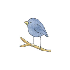 Little adorable blue bird as an illustration for children and adults on a transparent background