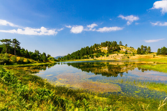 A picturesque summer landscape.  A small mountain lake surrounded by lush vegetation. Korca region, Albania