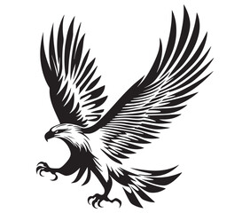  Flying eagle vector illustration