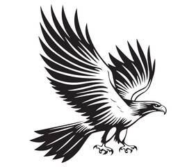  Flying eagle vector illustration