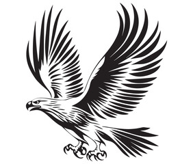  Flying eagle vector illustration