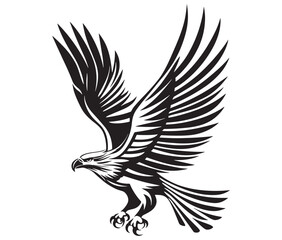 Flying eagle vector illustration