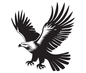  Flying eagle vector illustration