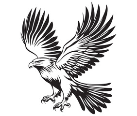  Flying eagle vector illustration